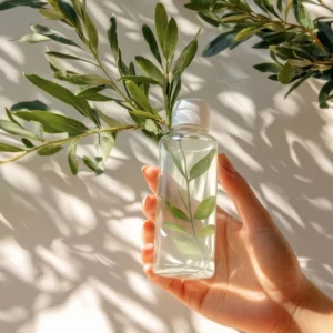 4 | La Esencia Pura del Olivo: Concentrado Natural para tu Bienestar